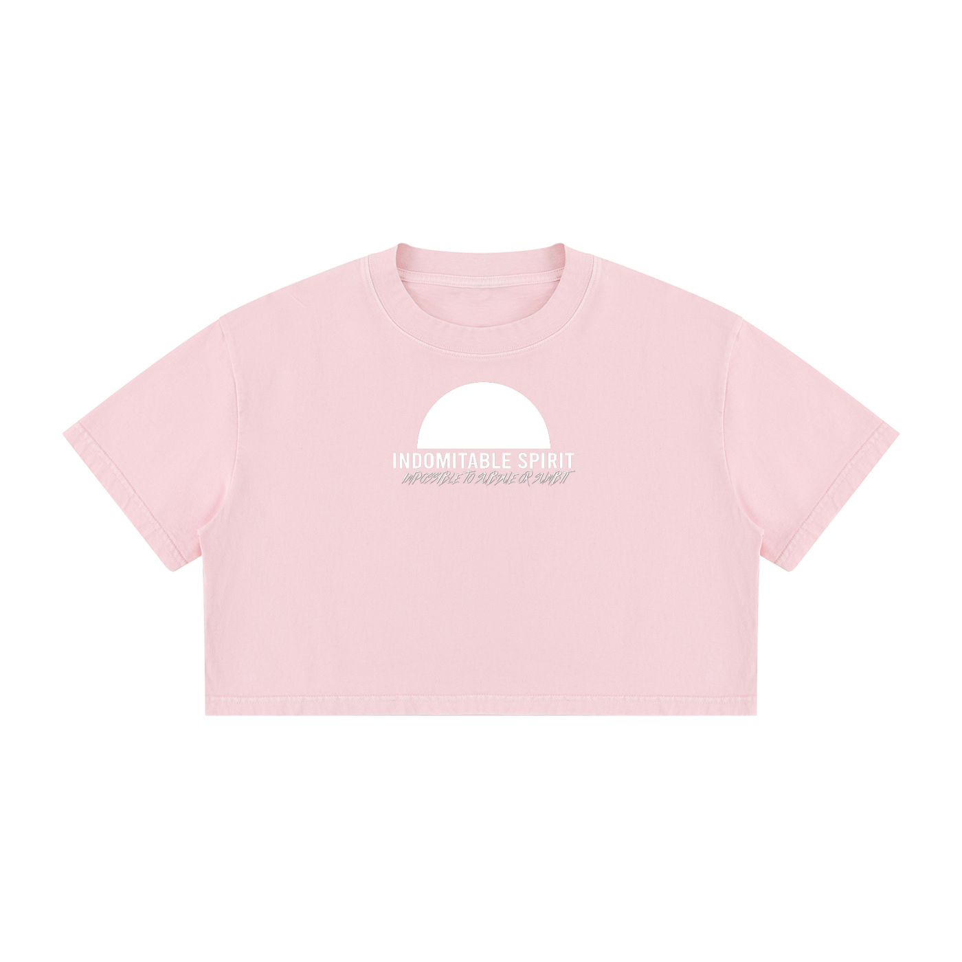Women's Mineral Wash Cotton Crop T-Shirt
