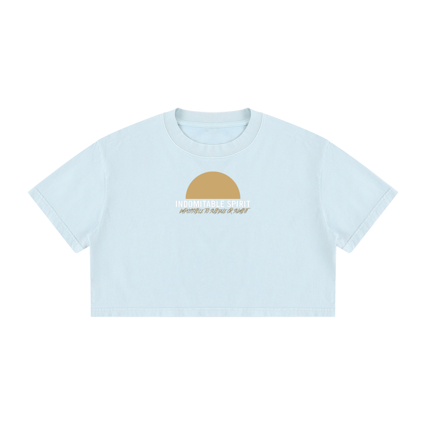 Women's Mineral Wash Cotton Crop T-Shirt