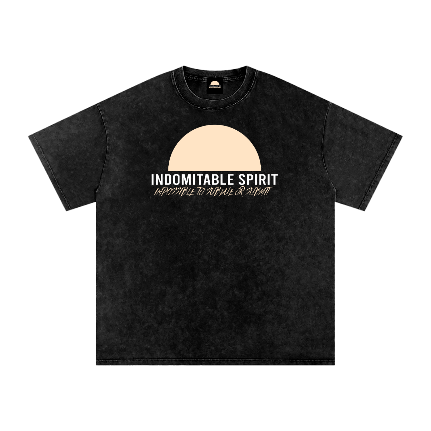 Snow Washed Oversized Cotton T-Shirt